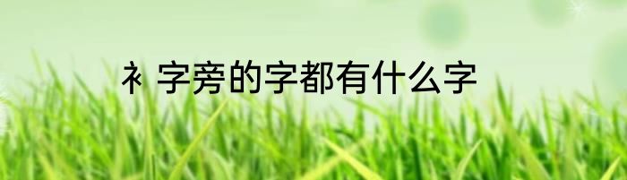 衤字旁的字都有什么字