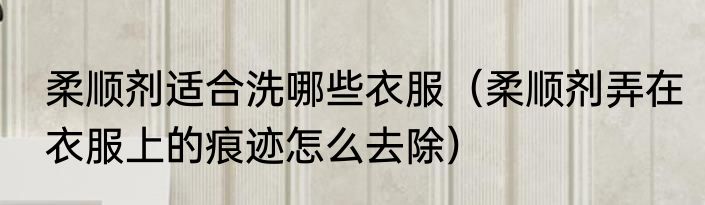 柔顺剂适合洗哪些衣服（柔顺剂弄在衣服上的痕迹怎么去除）