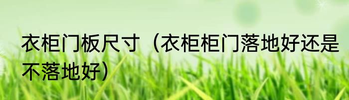 衣柜门板尺寸（衣柜柜门落地好还是不落地好）