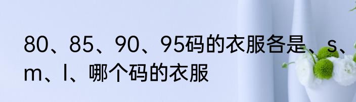 80、85、90、95码的衣服各是、s、m、l、哪个码的衣服