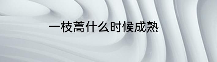 一枝蒿什么时候成熟