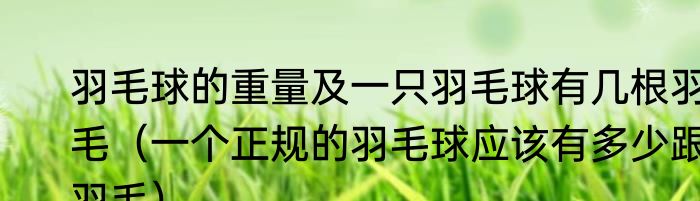 羽毛球的重量及一只羽毛球有几根羽毛（一个正规的羽毛球应该有多少跟羽毛）