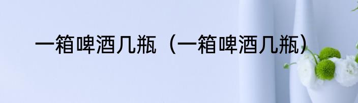 一箱啤酒几瓶（一箱啤酒几瓶）