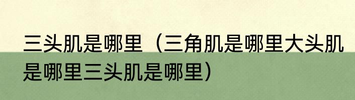 三头肌是哪里（三角肌是哪里大头肌是哪里三头肌是哪里）