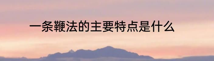 一条鞭法的主要特点是什么