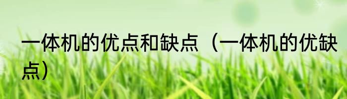 一体机的优点和缺点（一体机的优缺点）
