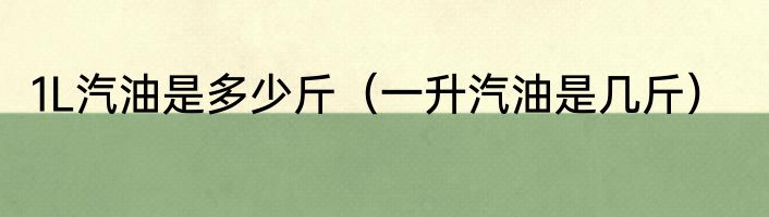 1L汽油是多少斤（一升汽油是几斤）