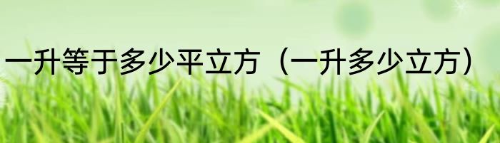 一升等于多少平立方（一升多少立方）