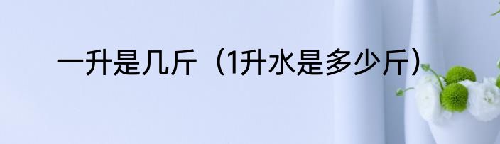 一升是几斤（1升水是多少斤）