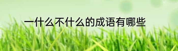 一什么不什么的成语有哪些