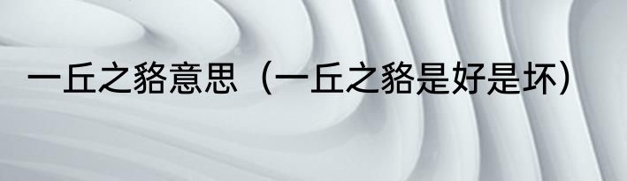 一丘之貉意思（一丘之貉是好是坏）