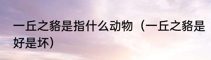 一丘之貉是指什么动物（一丘之貉是好是坏）