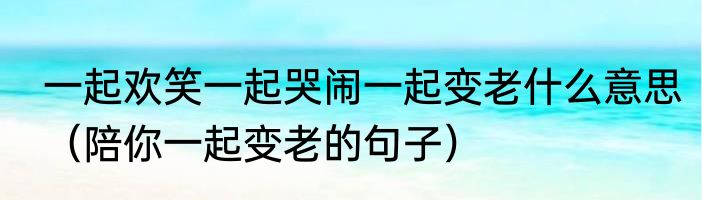 一起欢笑一起哭闹一起变老什么意思（陪你一起变老的句子）