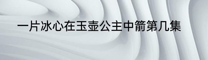 一片冰心在玉壶公主中箭第几集