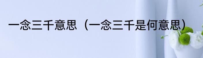 一念三千意思（一念三千是何意思）