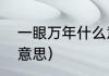 一眼万年什么意思（一眼万年是什么意思）