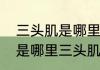 三头肌是哪里（三角肌是哪里大头肌是哪里三头肌是哪里）