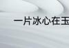 一片冰心在玉壶公主中箭第几集