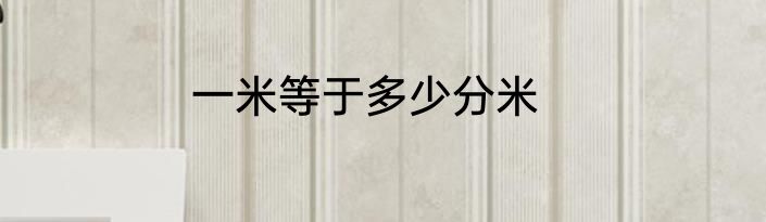 一米等于多少分米