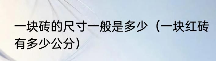 一块砖的尺寸一般是多少（一块红砖有多少公分）