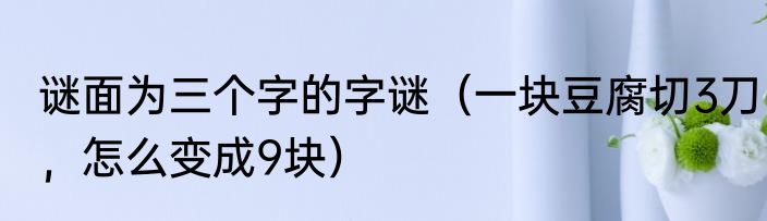 谜面为三个字的字谜（一块豆腐切3刀，怎么变成9块）