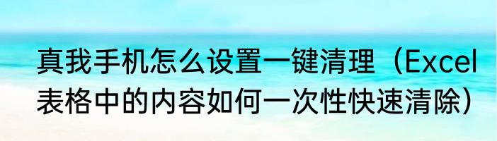 真我手机怎么设置一键清理（Excel表格中的内容如何一次性快速清除）