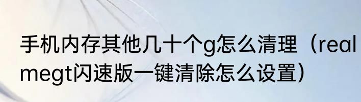 手机内存其他几十个g怎么清理（realmegt闪速版一键清除怎么设置）