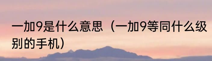 一加9是什么意思（一加9等同什么级别的手机）
