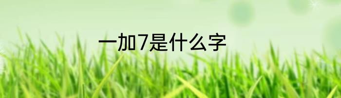 一加7是什么字