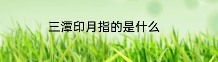 三潭印月指的是什么