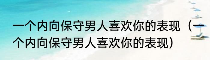 一个内向保守男人喜欢你的表现（一个内向保守男人喜欢你的表现）
