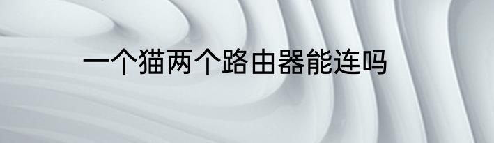 一个猫两个路由器能连吗