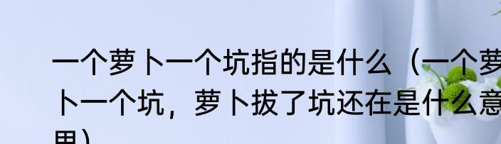 一个萝卜一个坑指的是什么（一个萝卜一个坑，萝卜拔了坑还在是什么意思）