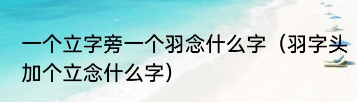 一个立字旁一个羽念什么字（羽字头加个立念什么字）