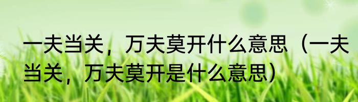 一夫当关，万夫莫开什么意思（一夫当关，万夫莫开是什么意思）