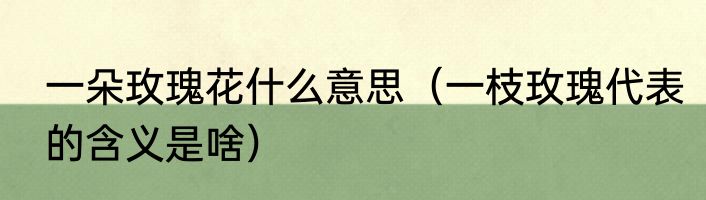 一朵玫瑰花什么意思（一枝玫瑰代表的含义是啥）