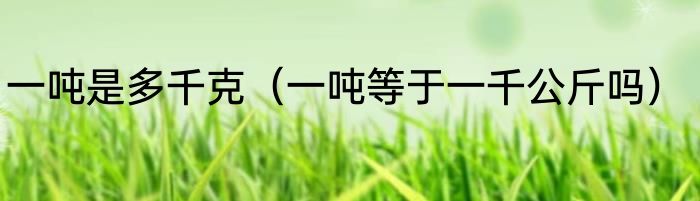 一吨是多千克（一吨等于一千公斤吗）