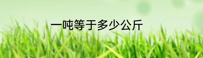 一吨等于多少公斤