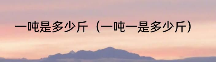 一吨是多少斤（一吨一是多少斤）