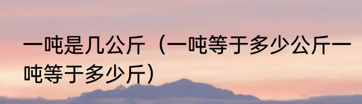 一吨是几公斤（一吨等于多少公斤一吨等于多少斤）