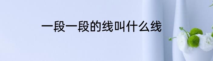 一段一段的线叫什么线