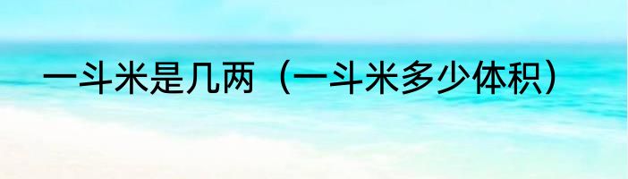 一斗米是几两（一斗米多少体积）