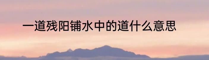 一道残阳铺水中的道什么意思
