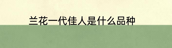 兰花一代佳人是什么品种