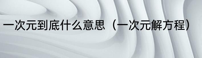 一次元到底什么意思（一次元解方程）