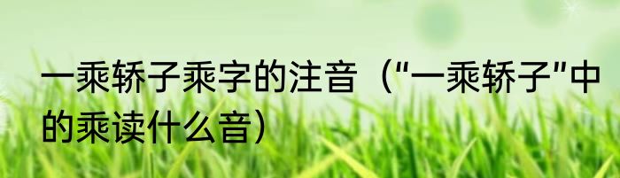 一乘轿子乘字的注音（“一乘轿子”中的乘读什么音）