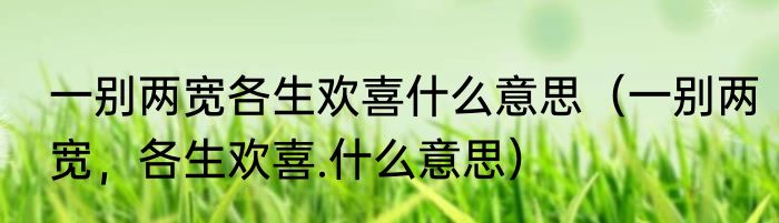 一别两宽各生欢喜什么意思（一别两宽，各生欢喜.什么意思）