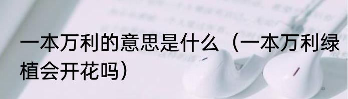 一本万利的意思是什么（一本万利绿植会开花吗）