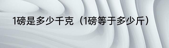 1磅是多少千克（1磅等于多少斤）