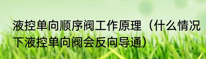 液控单向顺序阀工作原理（什么情况下液控单向阀会反向导通）